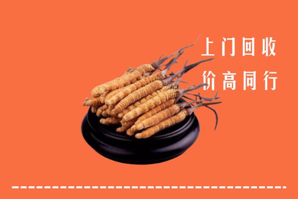 高价求购：德宏州盈江县回收散虫草