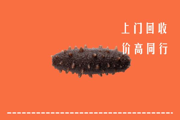 高价求购：德宏州盈江县回收海参