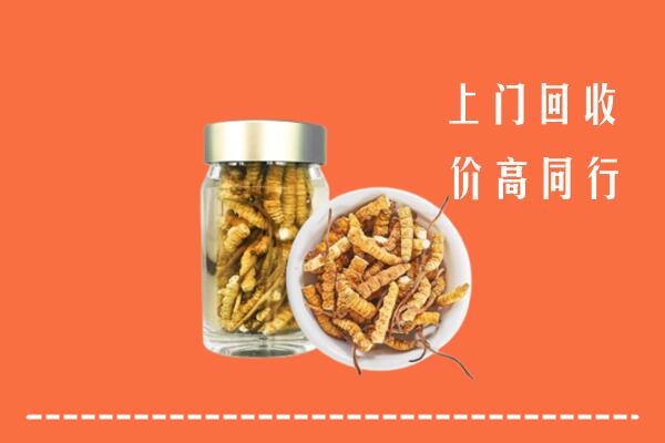 德宏州盈江县回收冬虫夏草